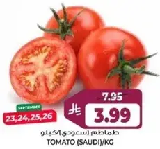 Tomato (Saudi)/kg
