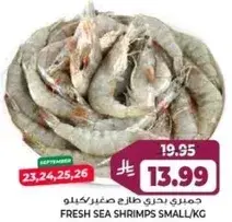 Fresh Sea Shrimps Small/kg