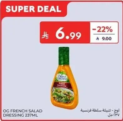 تتبيله سلطه فرنسيه