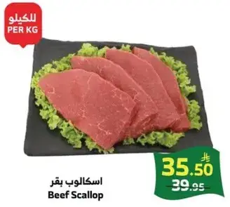 اسكالوب بقر