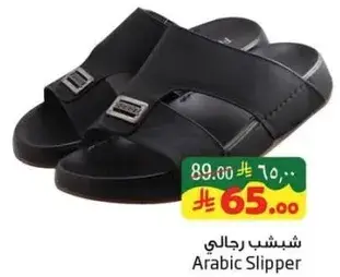 Arabic Slipper