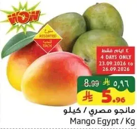 Mango Egypt / Kg