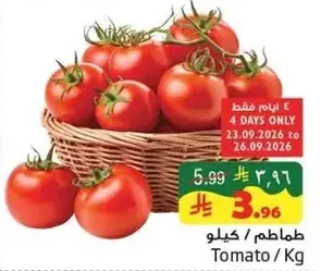 Tomato / Kg