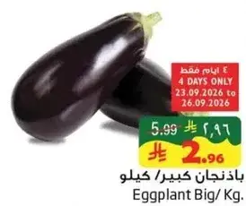 باذنجان كبير/كيلو