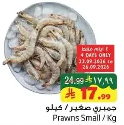 Prawns Small/Kg