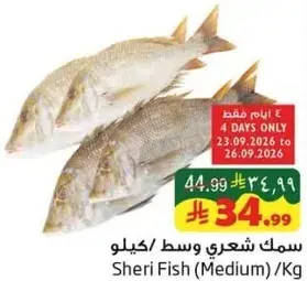 Sheri Fish (Medium)/Kg