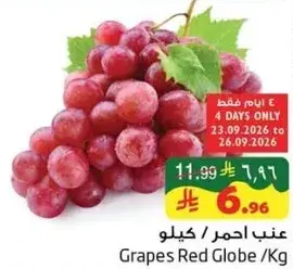 Grapes Red Globe / Kg