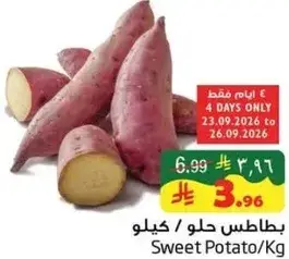 Sweet Potato / Kg
