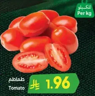 طماطم