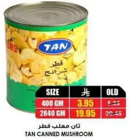 Tan canned mushroom 400gm