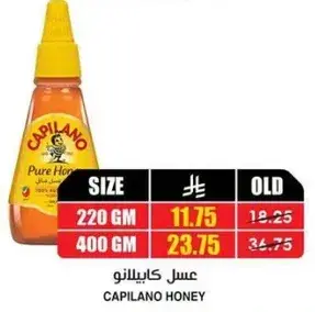 Capilano Honey 220 GM